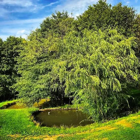 Le Sanglier Amoureux 4*